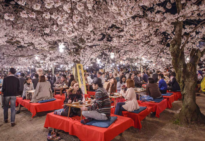 
					Keindahan Hanami: Tradisi Menyaksikan Mekarnya Bunga Sakura di Jepang