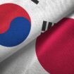 Japan and South Korea flag together realtions textile cloth fabric texture