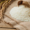 Rice grain