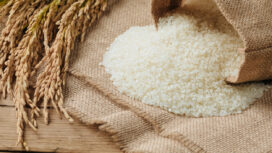 Rice grain
