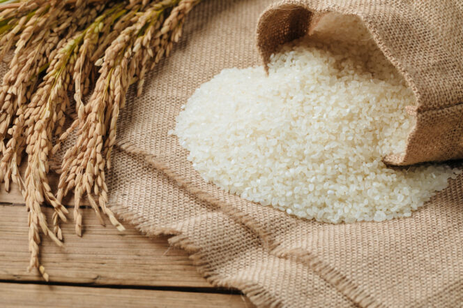 
					Rice grain