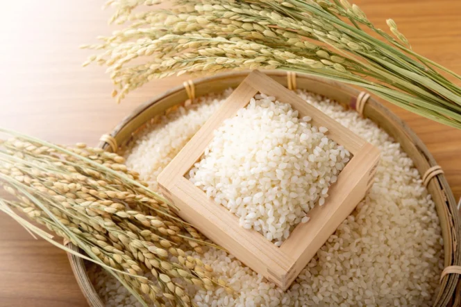 
					Pemerintah Jepang Akan Lepas Stok Cadangan Beras Setiap Bulan hingga Juli untuk Kendalikan Harga