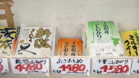 Å@ìåãûìsñnìcãÊÇÃÉXÅ[ÉpÅ[Ç…ï¿Ç‘ÉRÉÅÅBî_êÖè»ÇÕÇTÅ¨ìñÇΩÇËÇÃïΩãœâøäiÇ™ÅAëOîNìØä˙Ç∆î‰Ç◊ÇQî{í¥ÇÃÇSÇQÇPÇSâ~ÇæÇ¡ÇΩÇ∆î≠ïÇµÇΩÅÅÇPÇSì˙åﬂå„