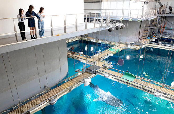 
					🐠 Menjelajahi Dunia Bawah Laut di Osaka Aquarium Kaiyukan: Harga dan Jam Buka