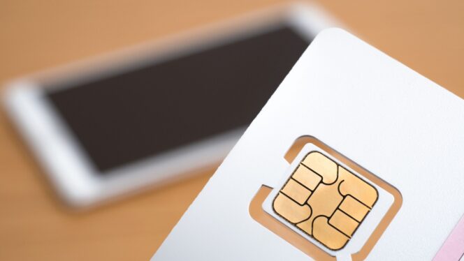 
					Beli SIM Card di Indonesia atau Sewa Wi-Fi di Jepang? Bandingkan Dulu!