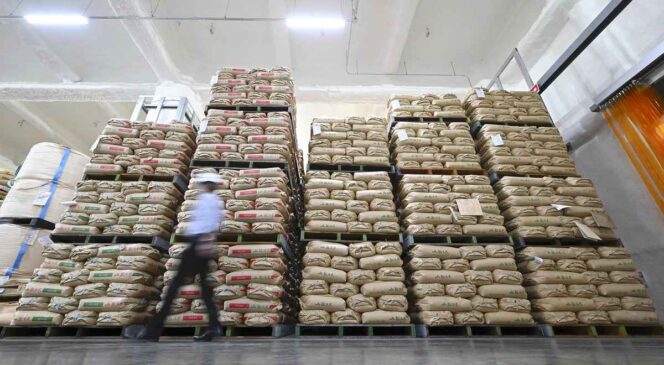 
					Pemerintah Jepang Pertimbangkan Gandakan Pasokan Beras Cadangan untuk Stabilkan Harga