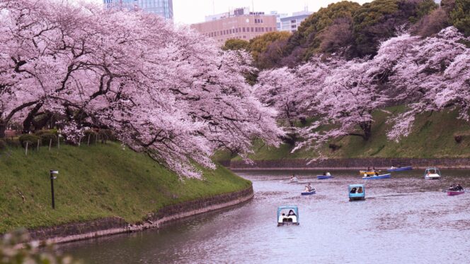 
					Istilah dalam Bahasa Jepang untuk Cuaca dan Alam: Dari Cerah hingga Gempa