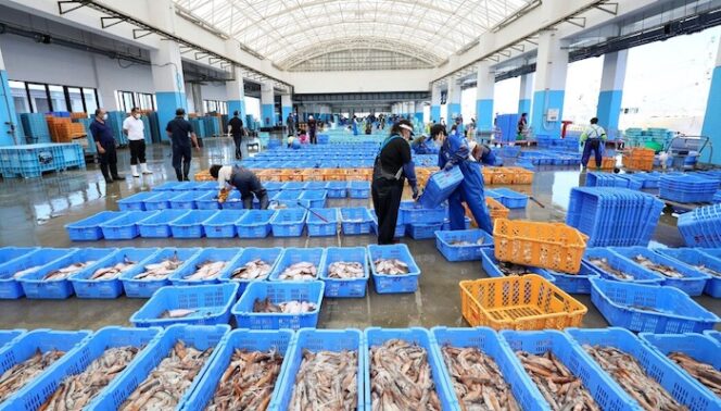 
					China Cabut Larangan Impor Makanan Laut dari Jepang Setelah Hampir Setahun