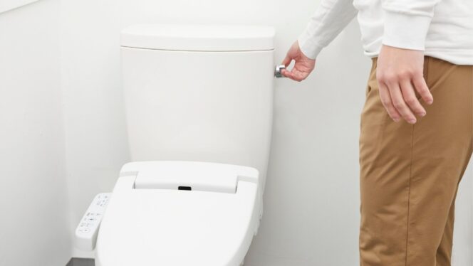 
					🚻 Tips Mencari Toilet Umum Bersih di Jepang (dan Kapan Harus Beli Tisu!)