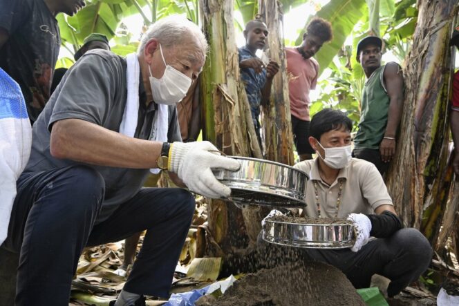 
					Tim Gabungan Jepang-Indonesia Temukan Jenazah Dua Tentara Jepang Korban Perang Dunia II di Pulau Wakde