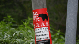 A sign that informs people of a bear sighting on Aug. 31, 2025, is seen near a country club in Sapporo's Minami Ward where a brown bear was killed four days later, in this photo taken Sept. 9. (Mainichi/Yukika Wada)