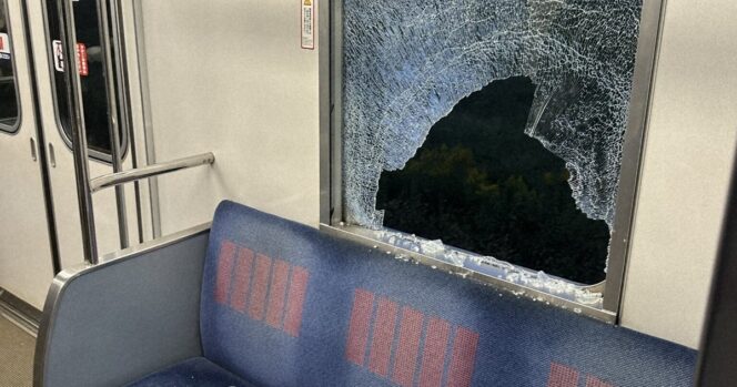 Kereta di Jepang Tabrak Rusa, 5 Penumpang Terluka Akibat Kaca Pecah