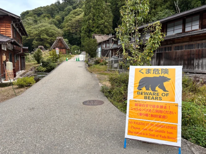 
					Pasangan Lansia Diserang Beruang di Gunma, Polisi Imbau Warga Waspada
