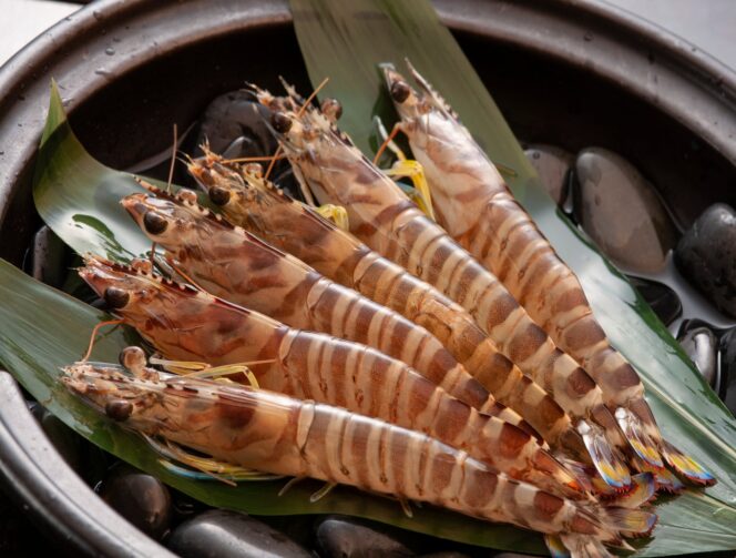 
					Kuruma Ebi: Udang Raksasa Jepang untuk Hidangan Istimewa