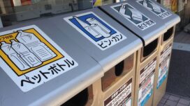 Garbage and recycling bins