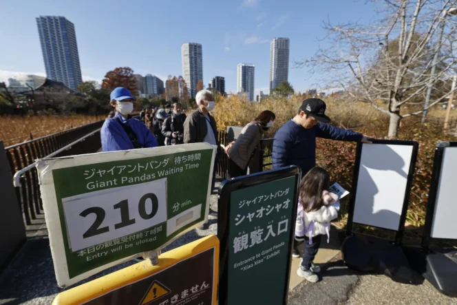 
					Antrean Mengular Hingga 4 Jam, Warga Jepang Rela Menunggu Demi Lihat Panda Terakhir Sebelum Pulang ke China
