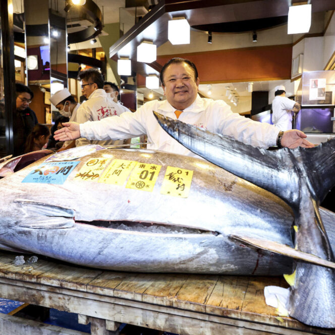
					Tuna Sirip Biru Terjual Rp330 Miliar di Lelang Tahun Baru Jepang, Pecahkan Rekor