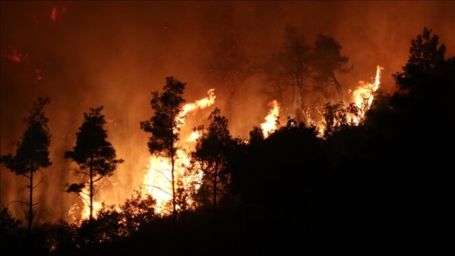 
					Kebakaran Hutan di Yamanashi Berhasil Dikendalikan Setelah Lebih dari 16 Hari