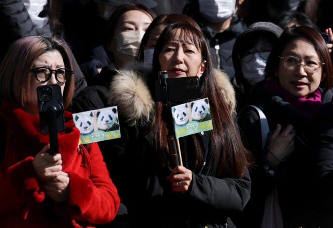 
					Panda fans gather to see off twin pandas Xiao Xiao and Lei Lei before a truck transporting them departs from Ueno Zoo for their planned return to China, in Tokyo, Japan, January 27, 2026. REUTERS/Issei Kato