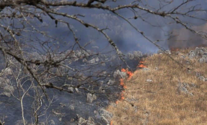 
					Pekerja Tewas Terbakar dalam Tradisi Pembakaran Padang Rumput di Yamaguchi