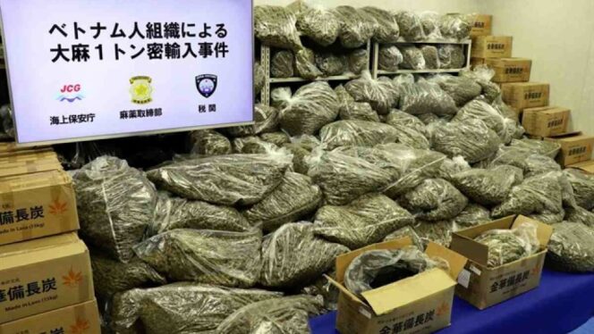 
					Kasus Ganja di Jepang Capai Rekor Tertinggi 2025, Mayoritas Pelaku Anak Muda