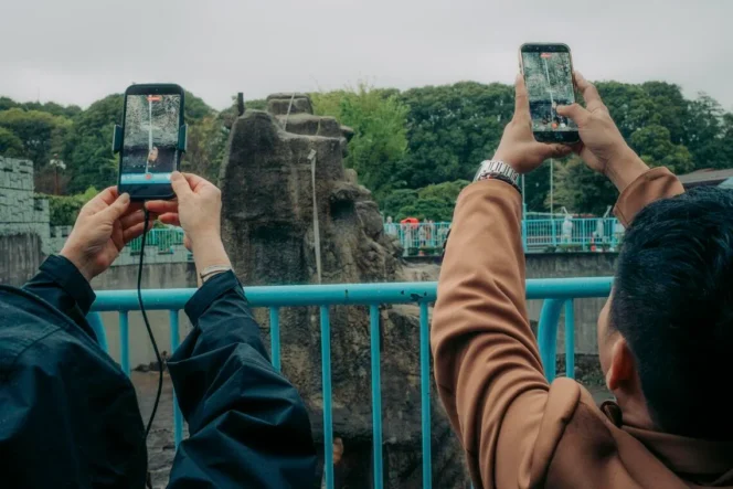 
					Monyet Viral “Punch” Bikin Heboh, Kebun Binatang Jepang Pertimbangkan Larang Foto Pengunjung