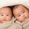 Japanese, baby, twins