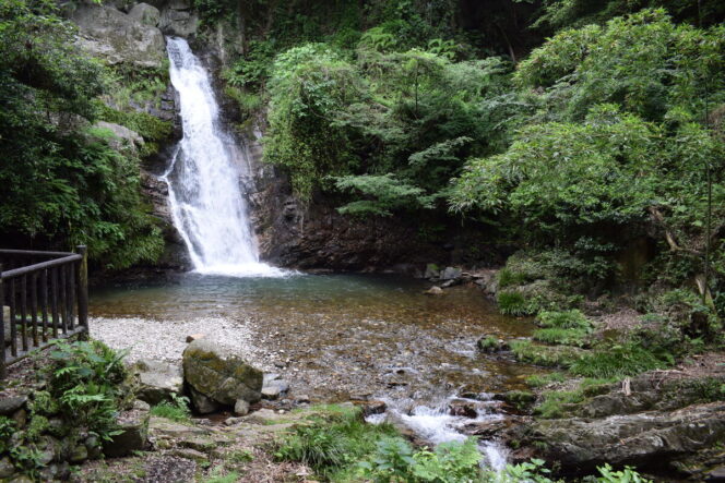 
					WNI Asal Indonesia Meninggal Tenggelam di Air Terjun Aichi, Diduga Usai Melompat ke Kolam Air Terjun