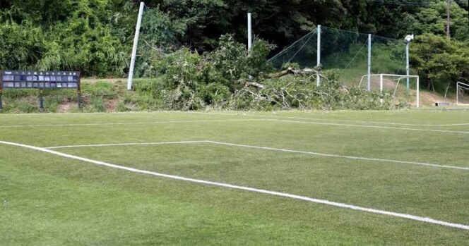 
					Pohon Tumbang Saat Turnamen Sepak Bola Anak di Jepang, 7 Orang Terluka