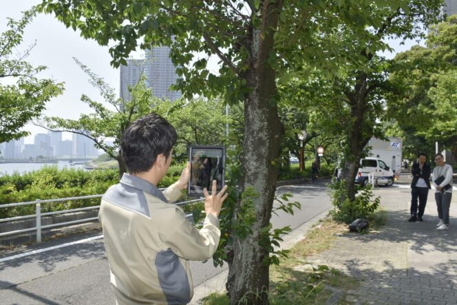 
					Jepang Kembangkan AI untuk Deteksi Pohon Berisiko Tumbang, Cegah Kecelakaan di Ruang Publik