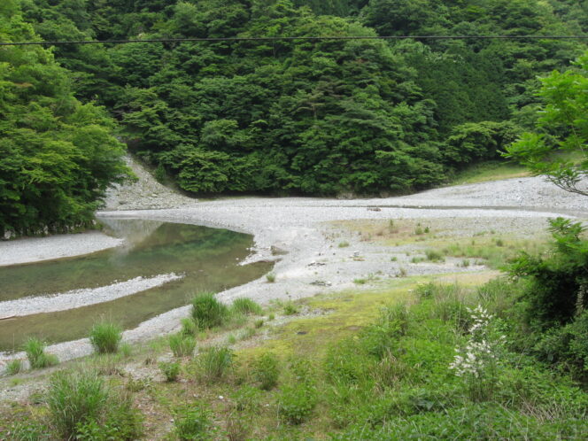 
					WNI Berusia 23 Tahun Tewas Tenggelam Saat Bermain di Sungai Kanagawa, Jepang