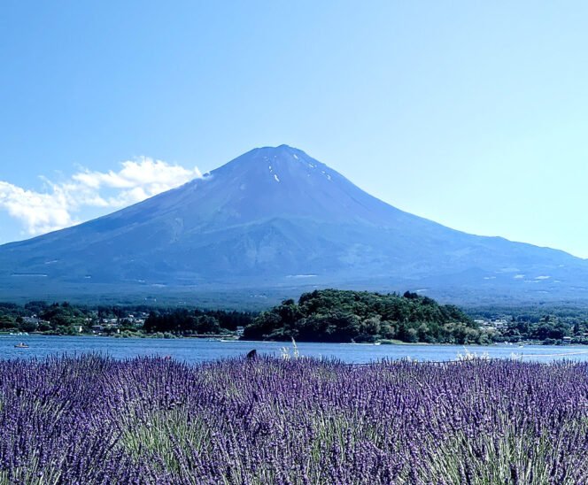 
					6 Pendaki Tewas di Gunung Fuji Selama Musim Pendakian 2026